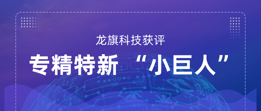 国家级荣誉加码 | 龙旗科技获评专精特新 “小巨人”